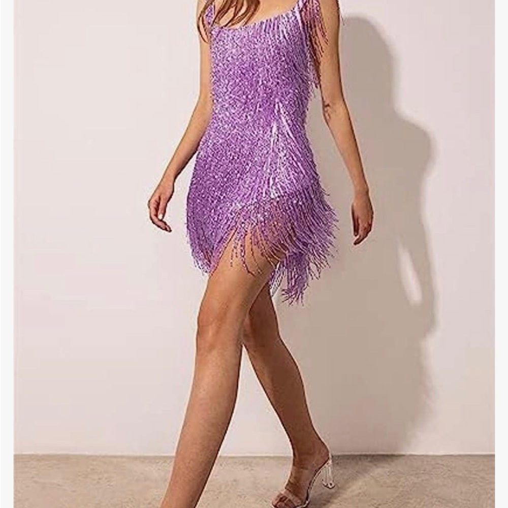 Sparkly tassel fringe sequin dress. Taylor swift concert dress